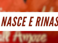 Con Cristo nasce e rinasce la&nbsp;gioia